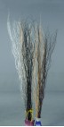 dried flowers d-f060